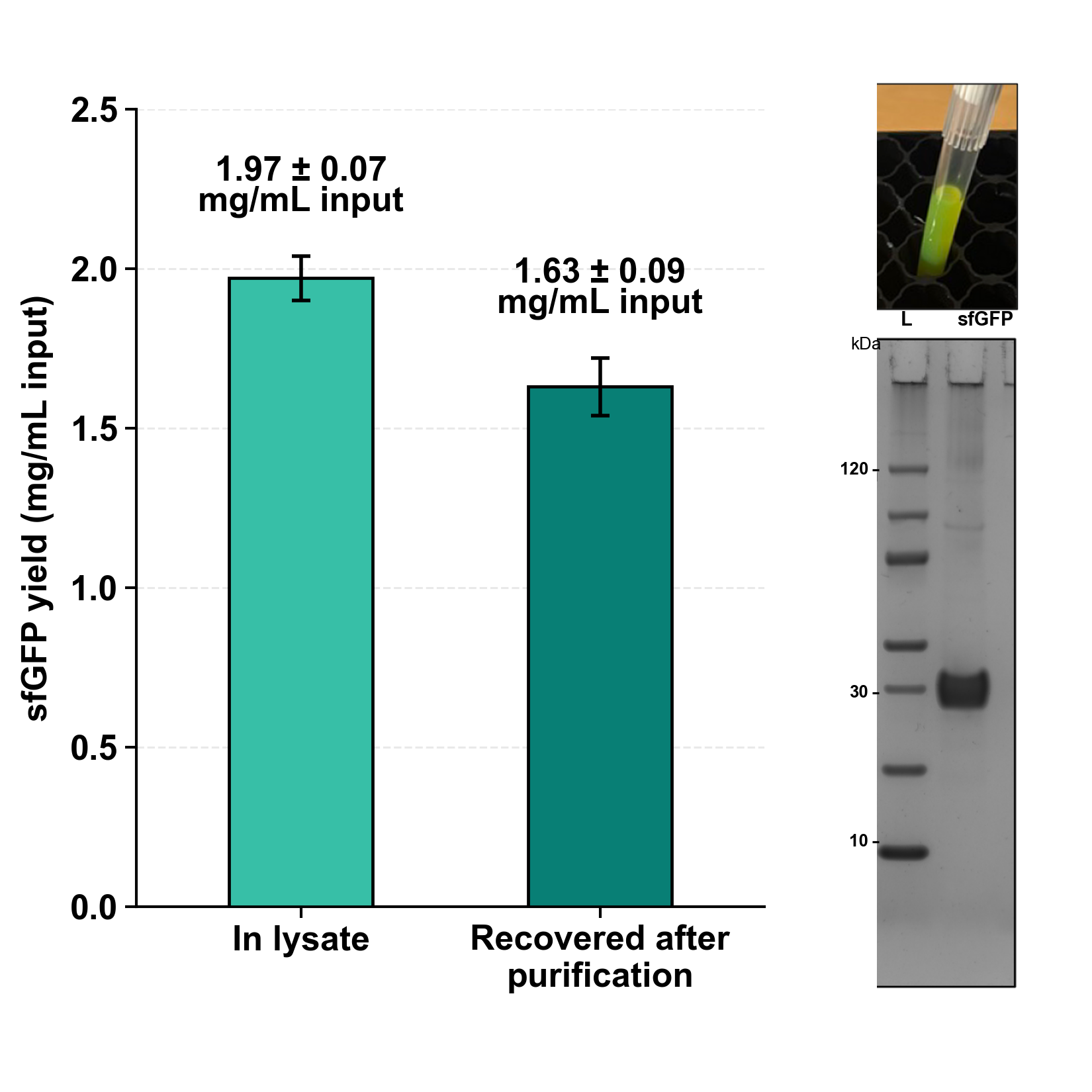 Sepia Figure 3 sfGFP scale and recovered-yield figure